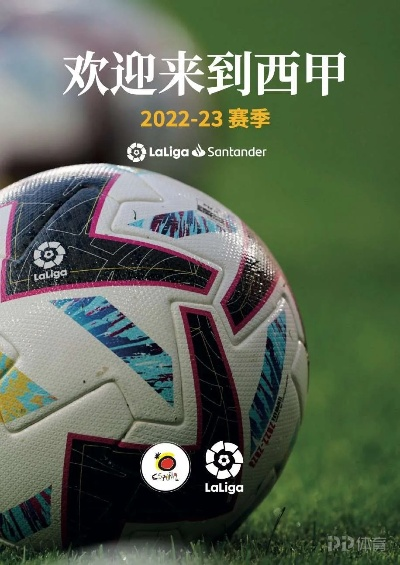 cm0304西甲外援 西甲外援的招募和运用-第3张图片-www.211178.com_果博福布斯