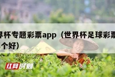 世界杯足彩封了 世界杯足球彩票app停售-第3张图片-www.211178.com_果博福布斯