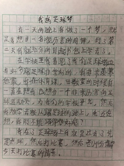 观看中超足球日记400字 中超联赛观后感作文-第2张图片-www.211178.com_果博福布斯