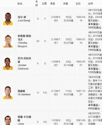 2016nba球员工资排名 2021nba球员薪资-第3张图片-www.211178.com_果博福布斯