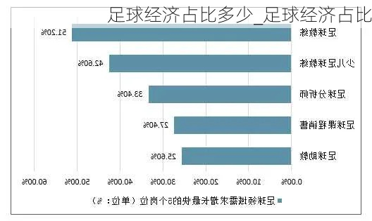 学习足球需要的经济成本大介绍-第3张图片-www.211178.com_果博福布斯